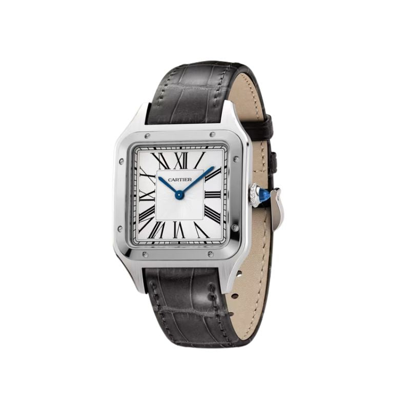 Cartier WSSA0029 SANTOS-DUMONT 46mm